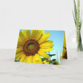 Hallo zonnig kaart (Achterkant)