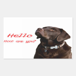 Hallo Zwart Bruin Labrador Retriever Sticker Label
