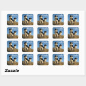 Hallo Zwart en wit Border Collie Puppy Dog Vierkante Sticker (Vel)
