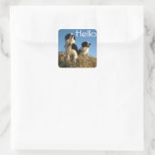 Hallo Zwart en wit Border Collie Puppy Dog Vierkante Sticker (Tas)