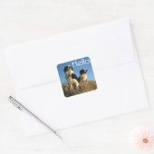 Hallo Zwart en wit Border Collie Puppy Dog Vierkante Sticker (Envelop)