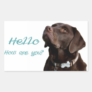 Hallo Zwarte Bruine Labrador Retriever Sticker Lab