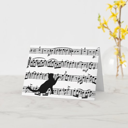 hallo zwarte kat op muziek kaart (Gele Bloem)