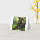 Hallo Zwarte Labrador Retriever Wenskaart Kaart (Gele Bloem)