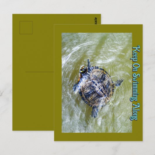 Hallo Zwemschildpad zegt Briefkaart (Voorkant / Achterkant)