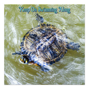 Hallo Zwemschildpad zegt Foto Afdruk