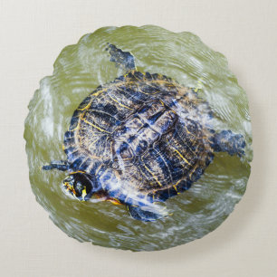 Hallo Zwemschildpad zegt Rond Kussen
