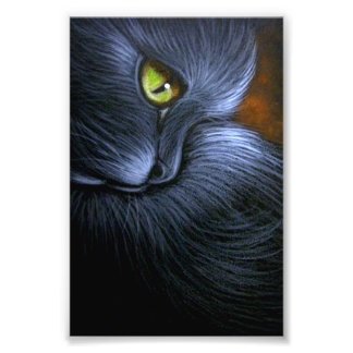HALLOEEN FANTASY BLACK CAT 4-X 6-INCH AFDRUKKING FOTO AFDRUK
