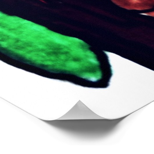 HALLOEEN UGLY OUD WITCH poster (Hoek)