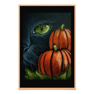 HALLOEEN ZWARTE CAT MET PIMPKINS 4 X 6-INCH AFDRUK
