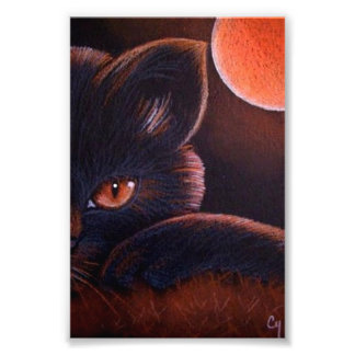 HALLOEEN ZWARTE KAT MET ORANJE MEER VAN 4 X 6 INCH FOTO AFDRUK