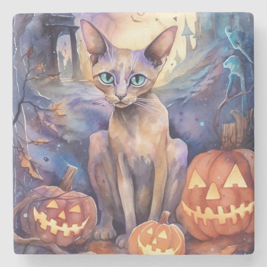 Halloween Abyssiniaanse kat met pompoeneng Stenen Onderzetter (Voorkant)