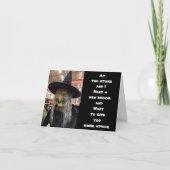 *** HALLOWEEN ADVIES VAN EEN HEKS? *** KAART (Voorkant)