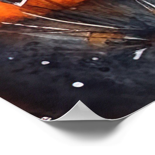 Halloween affenpinscher met pompoenen eng poster (Hoek)