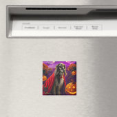 Halloween Afghaanse Hound Vampire Pumpkins eng Magneet (Insitu (Vaatwasser))