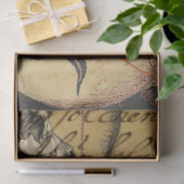 Halloween Alchemy Moth Animal Skull Tissuepapier (Geschenk)