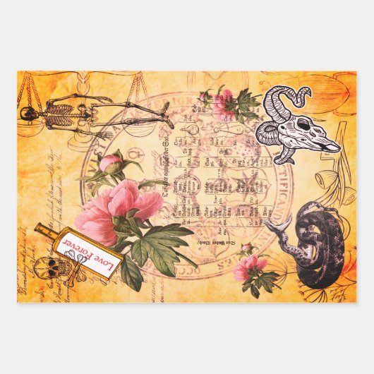 Halloween Alchemy Pink Peony Skeleton Ephemera Inpakpapier Vel (Voorkant 3)