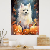 Halloween American Eskimo met pompoenen eng Poster (Keuken)