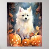 Halloween American Eskimo met pompoenen eng Poster (Voorkant)