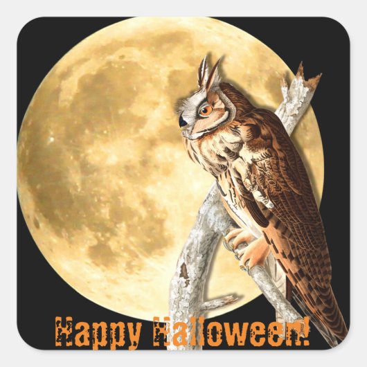 Halloween Audubon Lange-eared Uil Stickers (Voorkant)