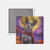 Halloween Australian Cattle Dog Pumpkins eng Magneet (Voorkant / Achterkant)