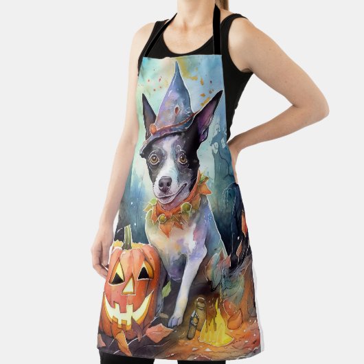 Halloween Australian Cattle with Pumpkins Scary Schort (Insitu)