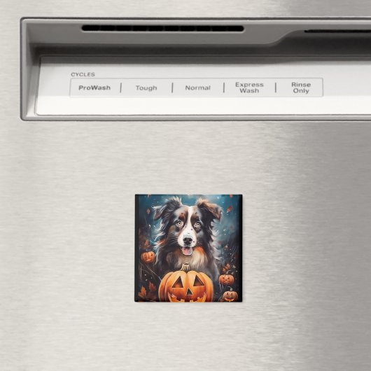 Halloween Australian Shepherd met pompoenen eng Magneet (Insitu (Vaatwasser))