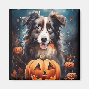 Halloween Australian Shepherd met pompoenen eng Magneet