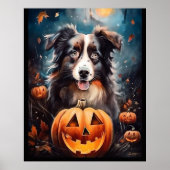 Halloween Australian Shepherd met pompoenen eng Poster (Voorkant)