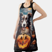 Halloween Australian Shepherd met pompoenen eng Schort (Insitu)
