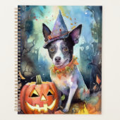 Halloween Australisch Rundvee Met Pompoenen Eng Planner (Voorkant)