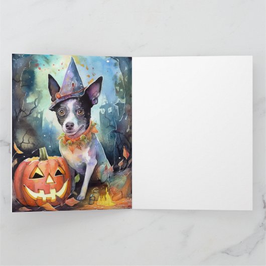 Halloween Australische Rundvee Met Pompoenen Griez Kaart (Binnen)