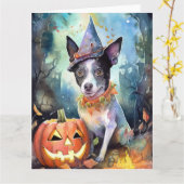 Halloween Australische Rundvee Met Pompoenen Griez Kaart (Gele Bloem)