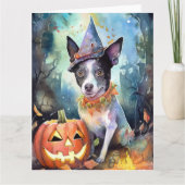 Halloween Australische Rundvee Met Pompoenen Griez Kaart (Voorkant)