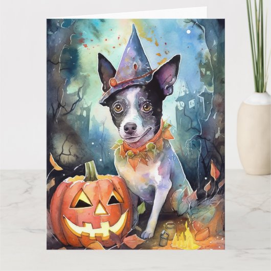 Halloween Australische Rundvee Met Pompoenen Griez Kaart (Voorkant)