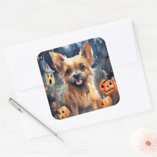 Halloween Australische Terriër Met Pompoenen Eng  Vierkante Sticker