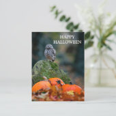 Halloween avond met heksenuil vleermuizen briefkaart (Staand voorkant)