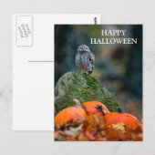 Halloween avond met heksenuil vleermuizen briefkaart (Voorkant / Achterkant)
