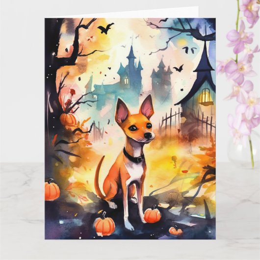 Halloween Basenji Met Pompoenen Eng  Kaart (Orchidee)