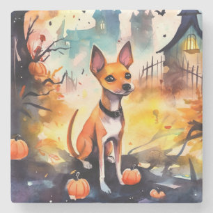 Halloween Basenji Met Pompoenen Eng Stenen Onderzetter