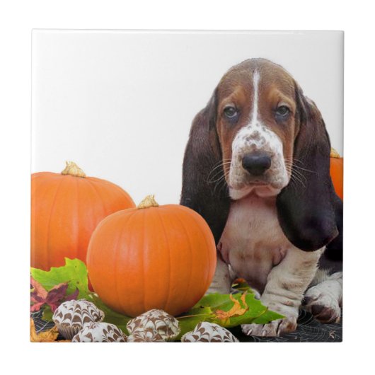 Halloween Basset Hound Ceramic Tile Tegeltje (Voorkant)