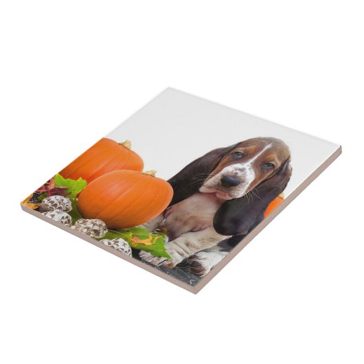 Halloween Basset Hound Ceramic Tile Tegeltje (Zijkant)
