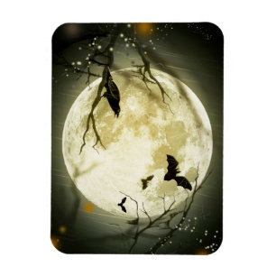 Halloween Bats and Birds Moon Magneet