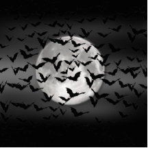Halloween Bats en een volle maan