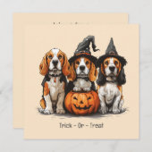 Halloween Beagle Dogs Jack O Lantern Kaart (Voorkant / Achterkant)