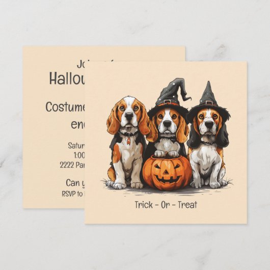 Halloween Beagle Dogs Jack O Lantern Kaart (Voorkant / Achterkant)