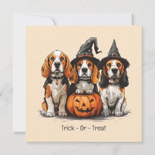 Halloween Beagle Dogs Jack O Lantern Kaart (Voorkant)