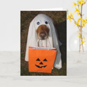 Halloween behandelt met de Hond van het Spook en Kaart (Gele Bloem)