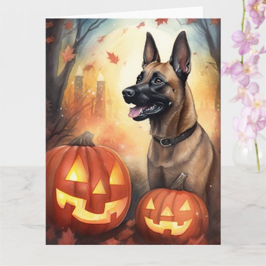 Halloween Belgische Malinoi Met Pompoenen Eng Kaart (Orchidee)