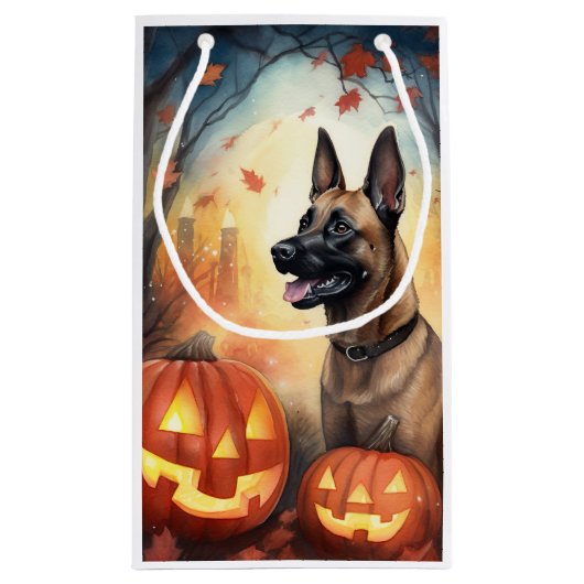 Halloween Belgium Malinoi met pompoenen eng Klein Cadeauzakje (Achterkant)